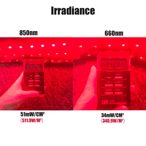 Red & Infrared Light Therapy Belt: 660nm 850nm Slimming & Pain Relief Wrap