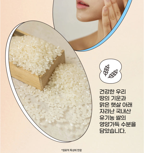 SPF50+ Beauty of Joseon Korean Rice Sunscreen Cream