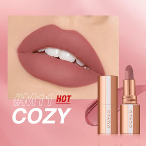O.TWO.O Matte Lipstick Long Lasting Waterproof Lip Stick Smudge-free Classic Highly Pigmented Velvet Finish Lip Tint Makeup