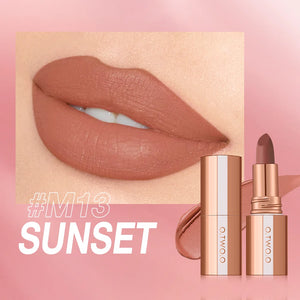 O.TWO.O Matte Lipstick Long Lasting Waterproof Lip Stick Smudge-free Classic Highly Pigmented Velvet Finish Lip Tint Makeup